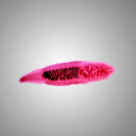 Hymenolepis diminuta